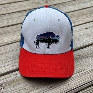 Patagonia Fitz Roy Bison Mesh Trucker Hat Snapback Adjustable